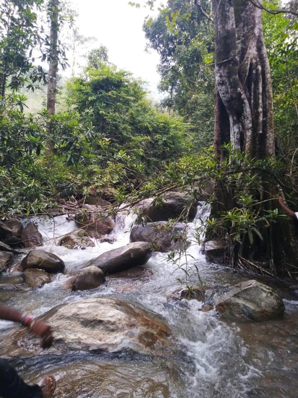 Mistywindvalley Kudayattur Buitenkant foto